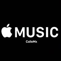 calle13mx