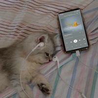 Хлопья летят наверх