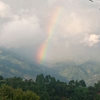diana_sale1