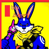 buxbuny7