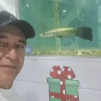 original sound - luis_torresvelasco