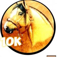 cavalo_crioulo.edits