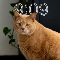 original sound - mikecuasar