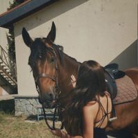 unsolecitovibrante22