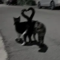 original sound - frasesmusicafacts