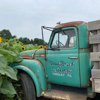 shadybrookfarm