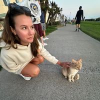 treatmyblikeanatmcard