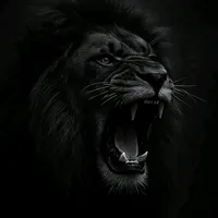 original sound - wadani65.5