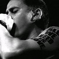 elcanserberocatire