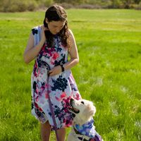 servicedogjoy