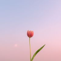 original sound - ʕ·ᴥ·ʔ BKPP