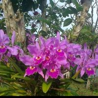 user389060093