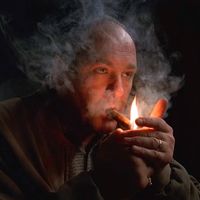 everybody loves the sunshine