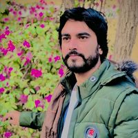 syedsikandershahb