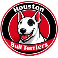 houstonbullterriers