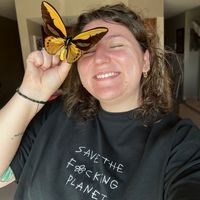 fernsbugs