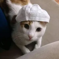 original sound - spedupnasheedz