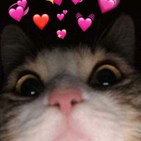 hellen_soffy