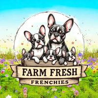 farmfreshfrenchies_wv
