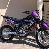 tinca409
