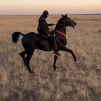 original sound - user00000.488