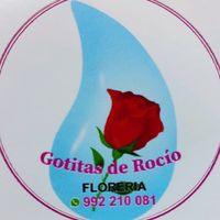gotitasderocio_fl