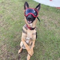 thegsdluna