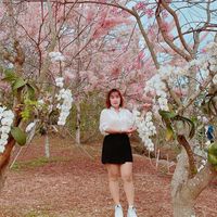 原聲 - 唐妹❤️💕💕