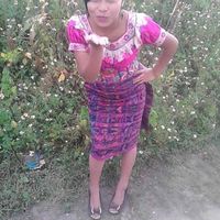 shailanohemy