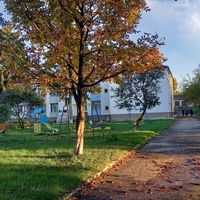 оригінальний звук