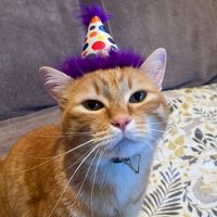 justobefrank