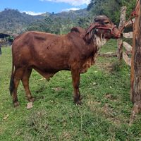 finca_las.valentina2