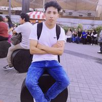 alex_el_pomacanchino