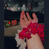 khana66_