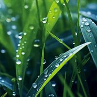 user_340206