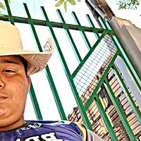 wallashenriquealv