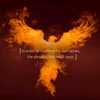 darkphoenixrising247