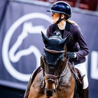 hma_horses