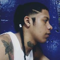 elseo_ntf