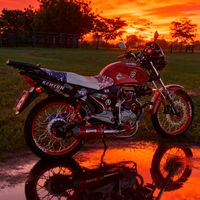 davidcardozo591