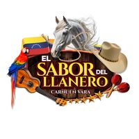 elsabordelllanero