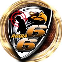 aguia66_