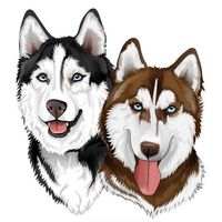 husky__capy