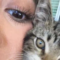 original sound - vaneeee088888