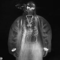 heavyweightlover1527