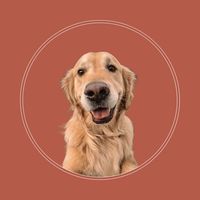 aspenriveradventures