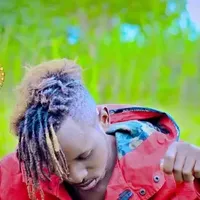 original sound - lmdebeco