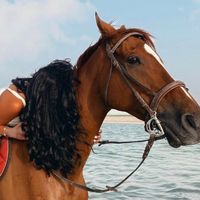 الصوت الأصلي