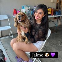 jaimedog