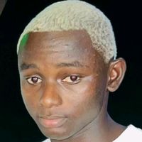 papaisane80gmail.com